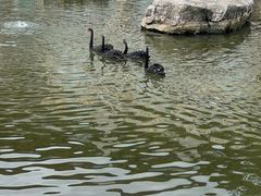 -西昌邛海宾馆
