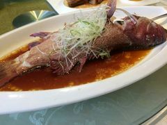 东星斑-宝燕海鲜(好爱店)