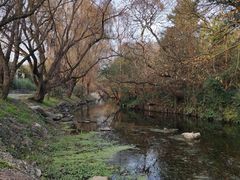 -贵阳市花溪国家城市湿地公园
