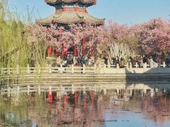 -济南大明湖景区