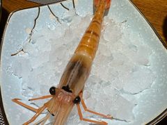 -左舞日本料理
