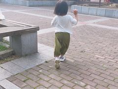 -合肥滨湖国家森林公园