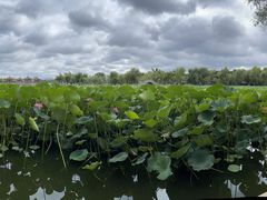 -长春市南湖公园