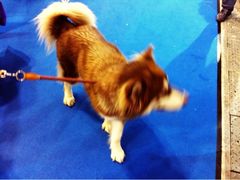 iphone_upload_pic-东浩兰生上海世博展览馆