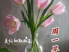 -灶东家民间菜(回兴店)