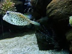 -南昌海洋公园