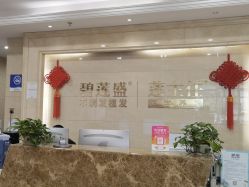 -碧莲盛·不剃发植发