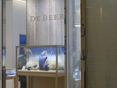 -DE BEERS 戴比尔斯(上海国金中心店)