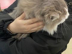 -宠福鑫康馨动物医院·骨科·眼科