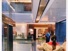 -松鹤楼·非遗·苏帮菜(融科店)