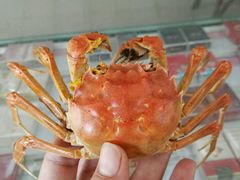 -喜洋洋蟹庄(阳澄湖店)