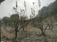 -南北湖风景区