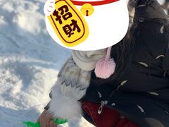 -绿野森林乐园冰雪季
