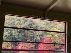 -岚山嵯峨野观光小火车