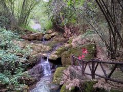 -大雁山风景区