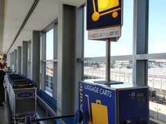 -约翰·菲茨杰拉德·肯尼迪国际机场