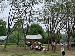 -白鹭湾湿地公园