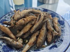 -生态苑农庄(十里画廊遇龙河店)