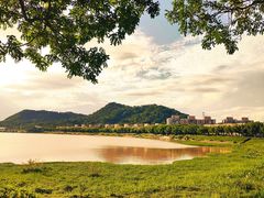 -风云岭森林公园