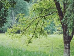 -长白岛森林公园