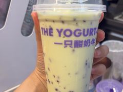 -一只酸奶牛(时代天街A馆店)