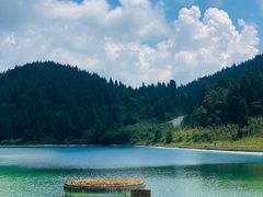 -武陵山森林公园