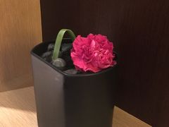 -深圳湾木棉花酒店