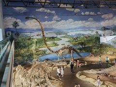-自贡恐龙博物馆
