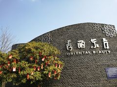 -秀丽东方