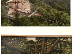 -上海当代艺术博物馆