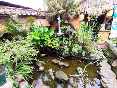 -园林美食城·本土农家菜(杨和镇店)