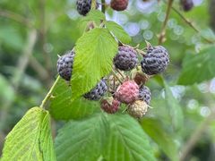 -白鹭湾湿地公园