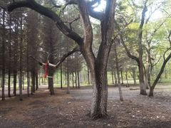 -长春市南湖公园