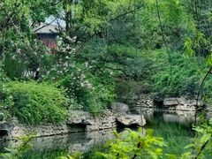 -京城小江南·北京烤鸭·江南土菜·白鱼(中关村店)