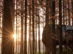 -黄海国家森林公园