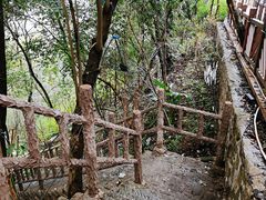 -南山植物园