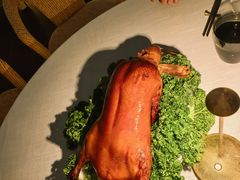 -莉莉海堂HAITANG·烤鸭(国贸商城店)