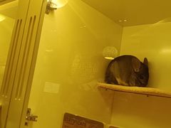 -龙猫仔乐园(惠福东路店)