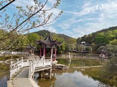 -青龙山国家森林公园
