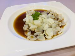 清蒸百合-光明邨大酒家(汇阳广场店)