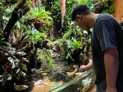 -太平洋海底世界