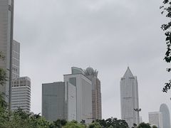 -万绿园