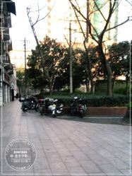-金太子形象设计