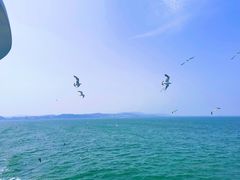 -长岛南北长山旅游景区