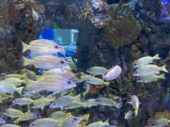 -成都浩海立方海洋公园