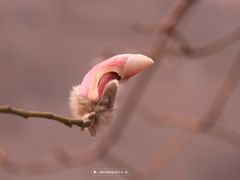 -东华门大街小区