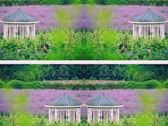 -紫颐香薰山谷景区