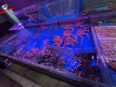 -金成潮菜博物馆(海珠湿地店)