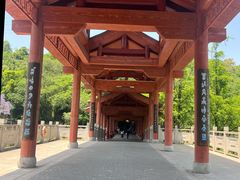 -重庆彩云湖湿地公园