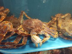 -蟹田居·活蟹料理(东城店)